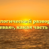 Морфологический разбор слова «полевая», какая часть речи