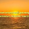 Морфологический разбор слова «появитесь», какая часть речи