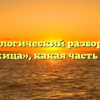 Морфологический разбор слова «рожица», какая часть речи