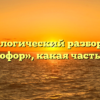 Морфологический разбор слова «светофор», какая часть речи