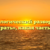 Морфологический разбор слова «собирать», какая часть речи