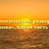 Морфологический разбор слова «тишина», какая часть речи