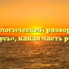 Морфологический разбор слова «учусь», какая часть речи