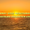 «На слово» или «наслово» — как правильно пишется слово?