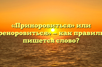 «Приноровиться» или «преноровиться» — как правильно пишется слово?