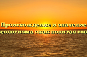 Происхождение и значение фразеологизма «как побитая собака»