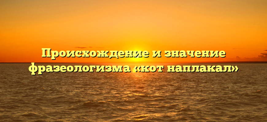 Происхождение и значение фразеологизма «кот наплакал»