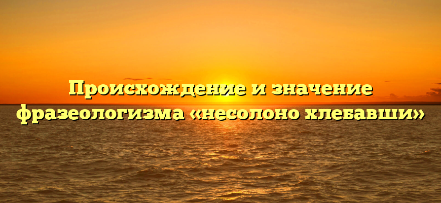 Происхождение и значение фразеологизма «несолоно хлебавши»