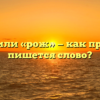 «Рожь» или «рож» — как правильно пишется слово?