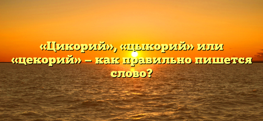 «Цикорий», «цыкорий» или «цекорий» — как правильно пишется слово?