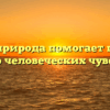 «Как природа помогает понять мир человеческих чувств»