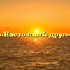 «Настоящий друг»