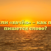 «Бачок» или «бачёк» — как правильно пишется слово?