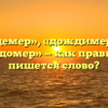 «Дождемер», «дождимер» или «дождомер» — как правильно пишется слово?