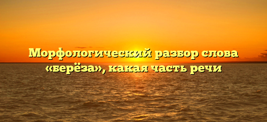 Морфологический разбор слова «берёза», какая часть речи