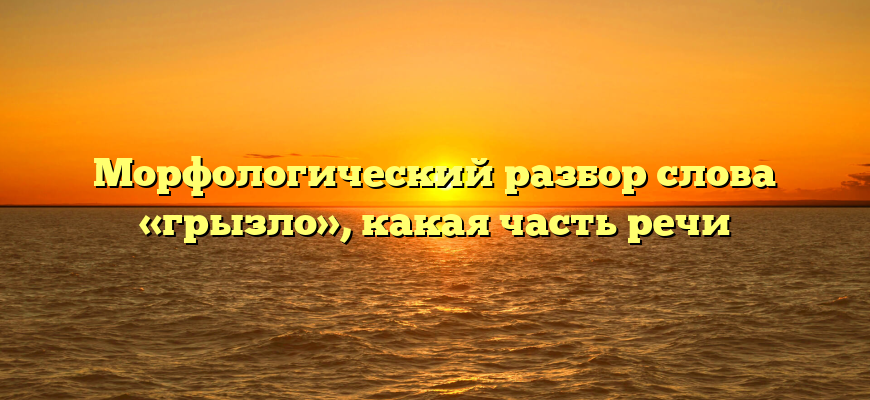Морфологический разбор слова «грызло», какая часть речи
