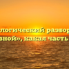 Морфологический разбор слова «дневной», какая часть речи