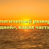 Морфологический разбор слова «западной», какая часть речи
