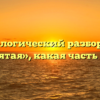 Морфологический разбор слова «запятая», какая часть речи