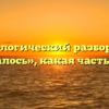 Морфологический разбор слова «казалось», какая часть речи