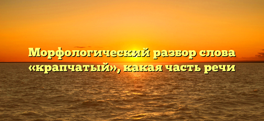 Морфологический разбор слова «крапчатый», какая часть речи