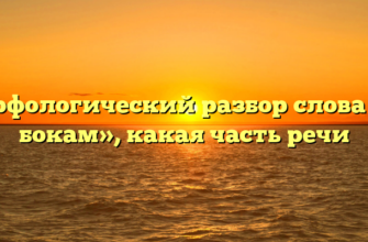 Морфологический разбор слова «по бокам», какая часть речи