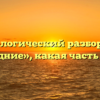 Морфологический разбор слова «поздние», какая часть речи