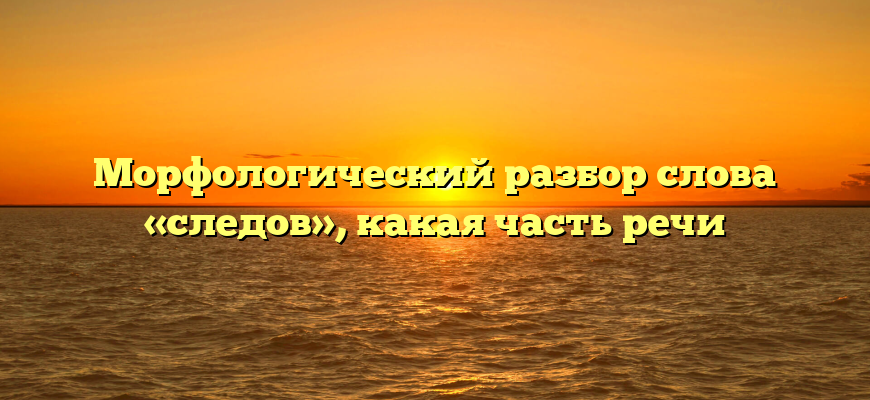 Морфологический разбор слова «следов», какая часть речи