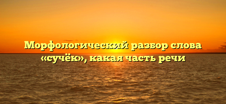 Морфологический разбор слова «сучёк», какая часть речи