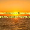 Морфологический разбор слова «сырая», какая часть речи
