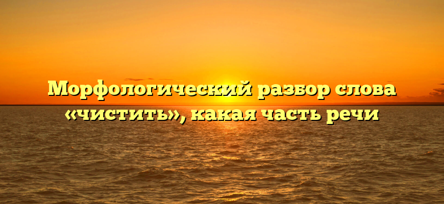 Морфологический разбор слова «чистить», какая часть речи