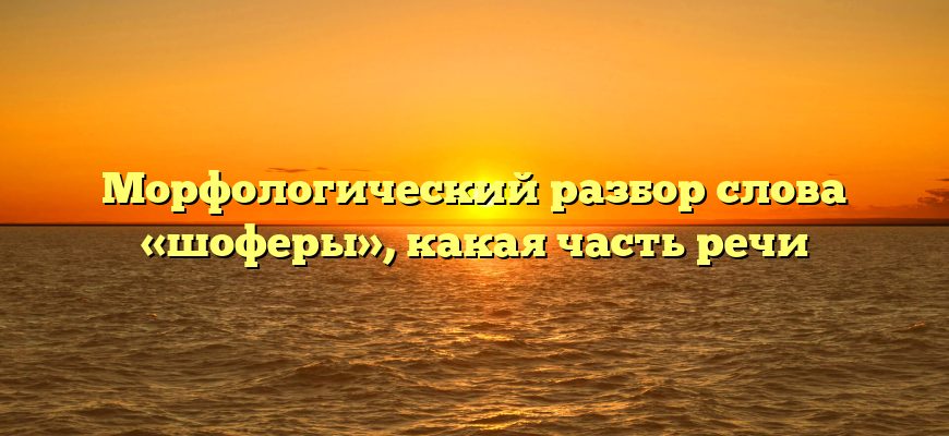 Морфологический разбор слова «шоферы», какая часть речи