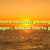 Морфологический разбор слова «щедро», какая часть речи