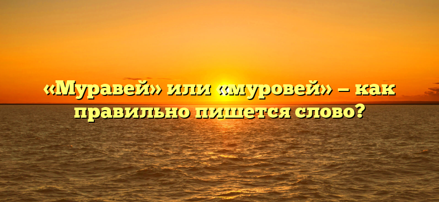 «Муравей» или «муровей» — как правильно пишется слово?
