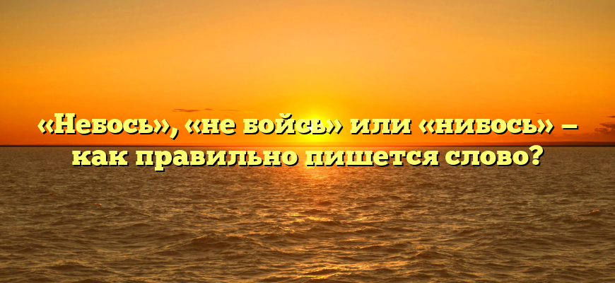 «Небось», «не бойсь» или «нибось» — как правильно пишется слово?