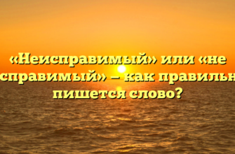 «Неисправимый» или «не исправимый» — как правильно пишется слово?
