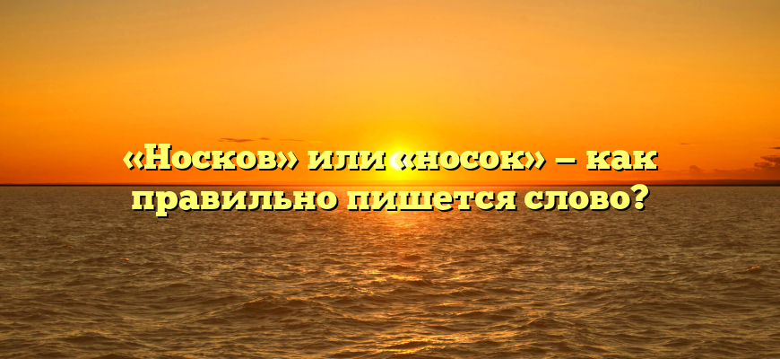 «Носков» или «носок» — как правильно пишется слово?