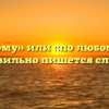 «По-любому» или «по любому» — как правильно пишется слово?