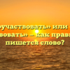 «Поучаствовать» или «по участвовать» — как правильно пишется слово?