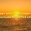 «Приму» или «прийму» — как правильно пишется слово?