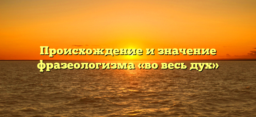 Происхождение и значение фразеологизма «во весь дух»