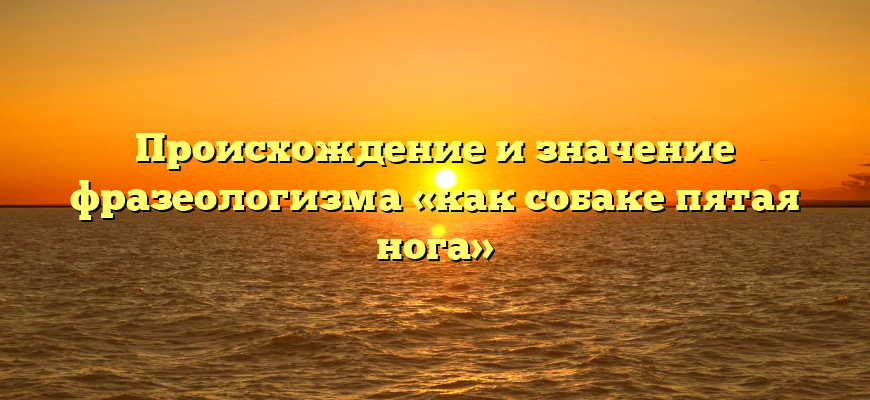 Происхождение и значение фразеологизма «как собаке пятая нога»