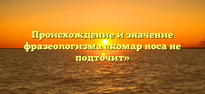 Происхождение и значение фразеологизма «комар носа не подточит»