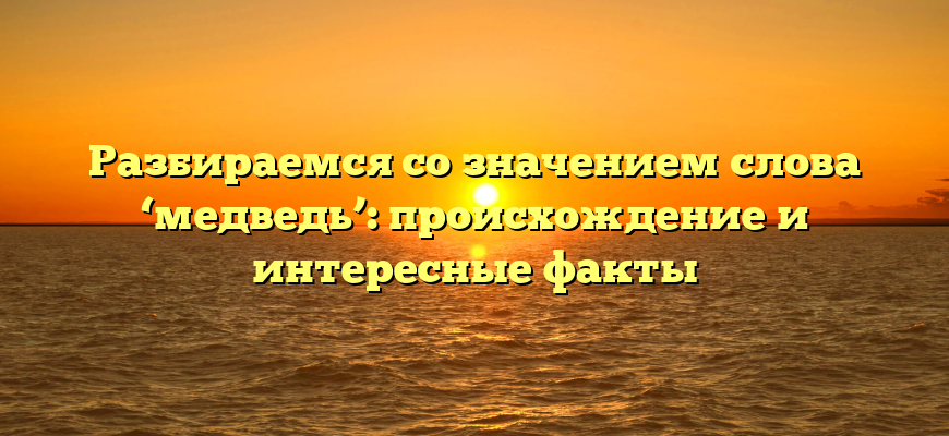 Разбираемся со значением слова ‘медведь’: происхождение и интересные факты