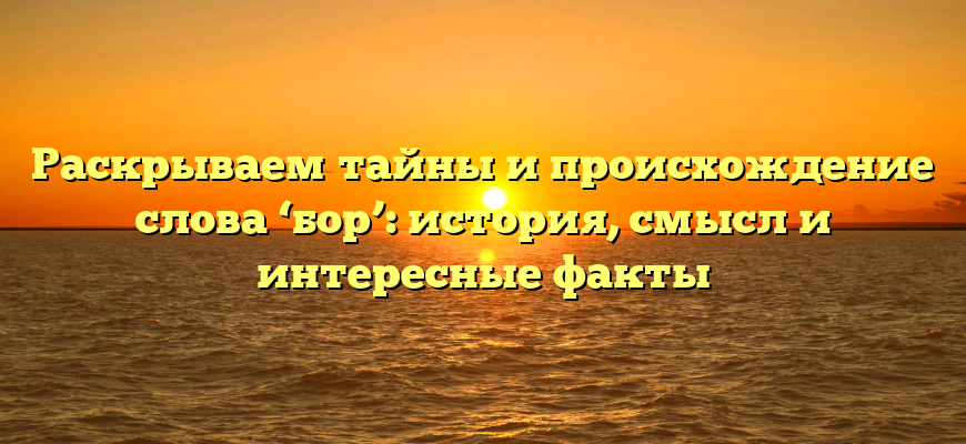 Раскрываем тайны и происхождение слова ‘бор’: история, смысл и интересные факты