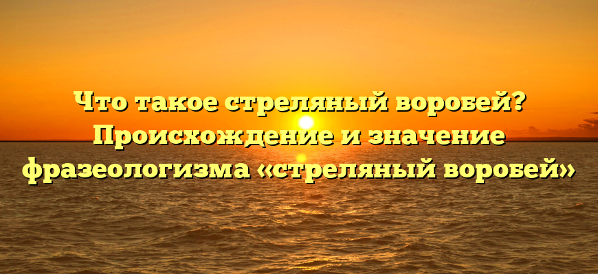 Что такое стреляный воробей? Происхождение и значение фразеологизма «стреляный воробей»