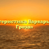 «Характеристика Варвары в пьесе Гроза»