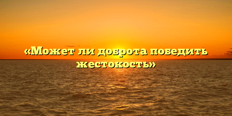 «Может ли доброта победить жестокость»