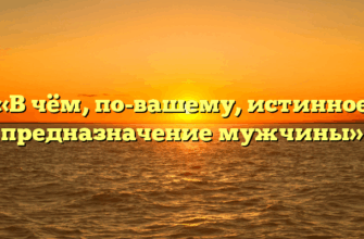«В чём, по-вашему, истинное предназначение мужчины»