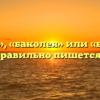 «Бакалея», «баколея» или «баккалея» — как правильно пишется слово?